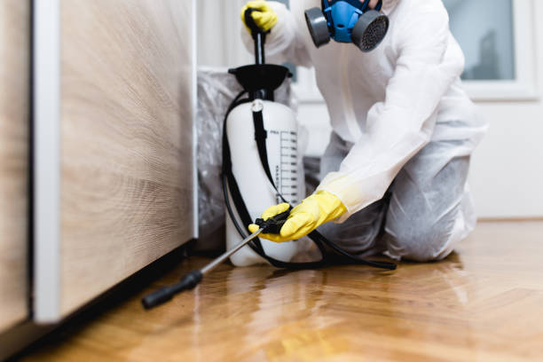 Best Pest Prevention Services  in Powhatan Point, OH