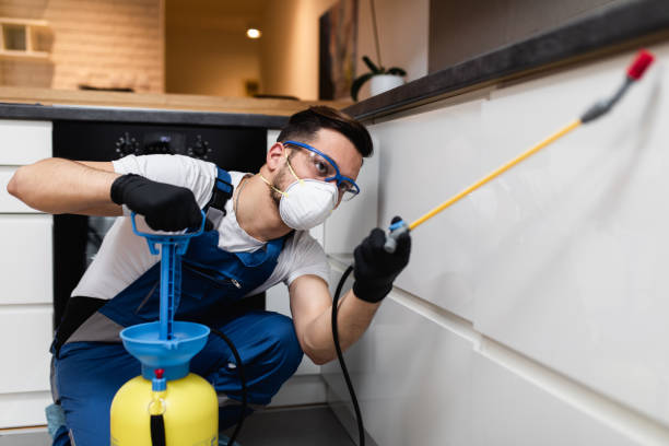 Best Ant Control Services  in Powhatan Point, OH