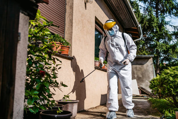 Best Local Pest Control Services  in Powhatan Point, OH