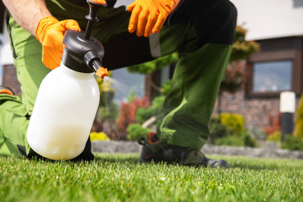 Best Affordable Pest Control Services  in Powhatan Point, OH