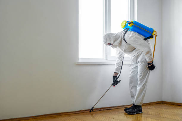 Best Residential Pest Control  in Powhatan Point, OH