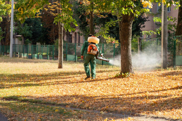 Wildlife Control Services in Powhatan Point, OH