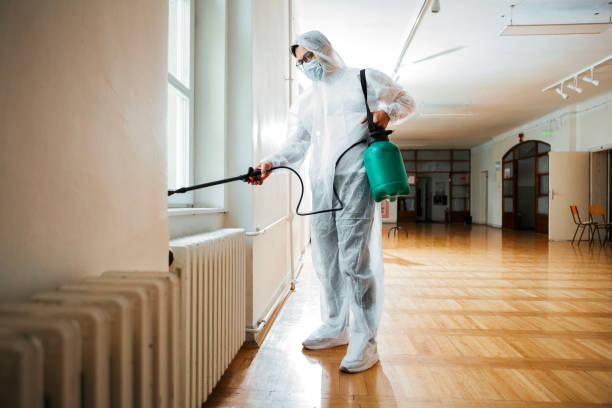 Best Exterminator Services  in Powhatan Point, OH