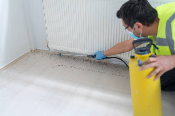 Best Emergency Pest Control  in Powhatan Point, OH