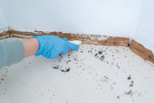 Best Wildlife Control Services  in Powhatan Point, OH